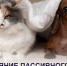sait 2025 21 ZdorZIV A1 - Газета Народное слово