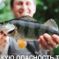 s 2025 079 rof riba 2 - Газета Народное слово