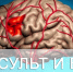 s 2026 008 insult A1 - Газета Народное слово
